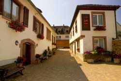 Domaine Bott-Geyl - Visite